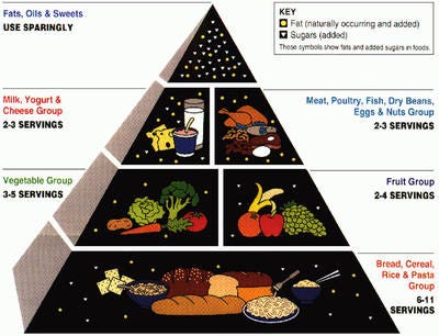 Picture of the old food pyramid.