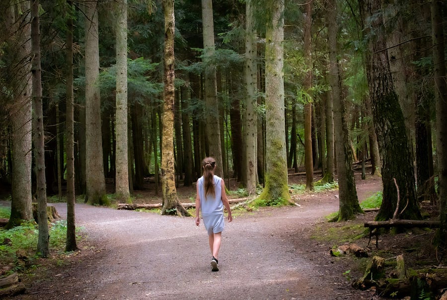 Gir; walking in a forest road.