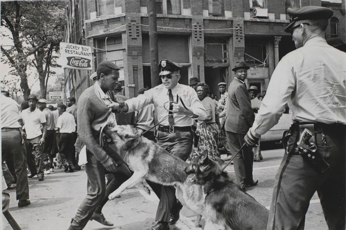 Police Dog Attack, Birmingham, Alabama - High Museum of Art