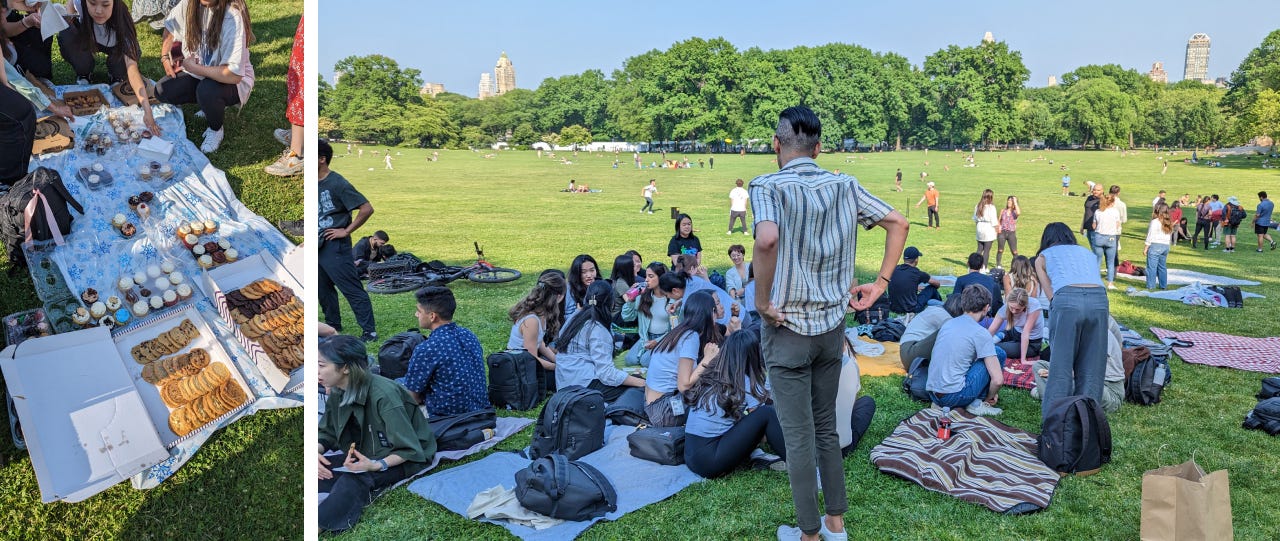 collage of the datadog intern picnic at central park