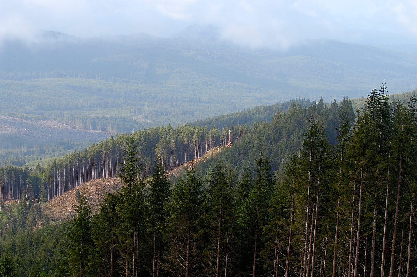Pacific Northwest Timberlands