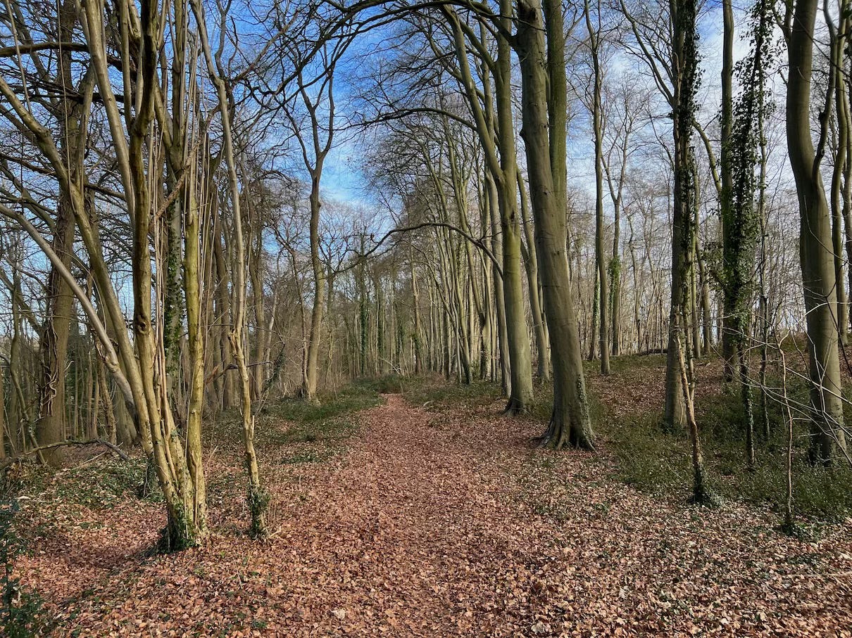 Photo by Author — out for a healthy walk on a winter’s day