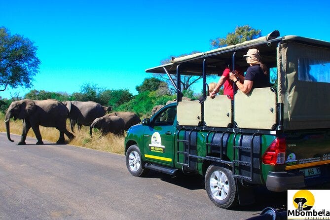 Overnight Kruger Safari from Nelspruit Whiteriver or Hazyview