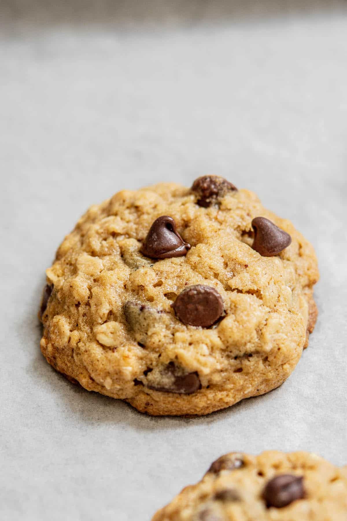 baked cookie with chocolate chips on parchment paper.