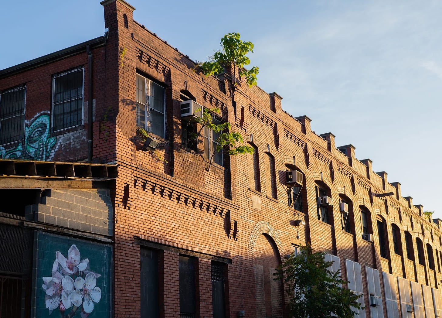 Old brick building, golden sun, trees growing out of the building