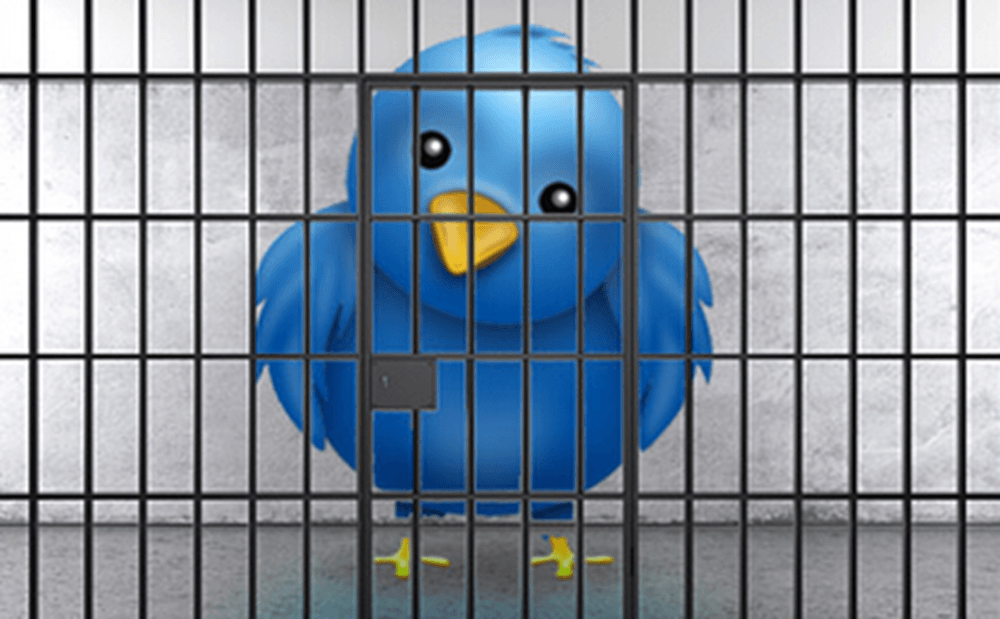US teen sent to jail for being an ISIS supporter on Twitter