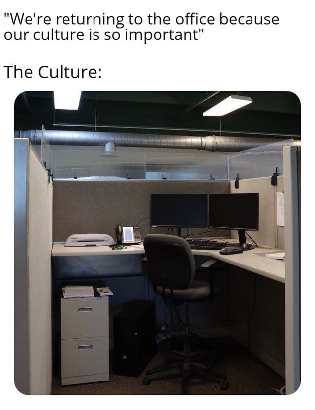 r/memes - "We're returning to the office because our culture is so important" The Culture: