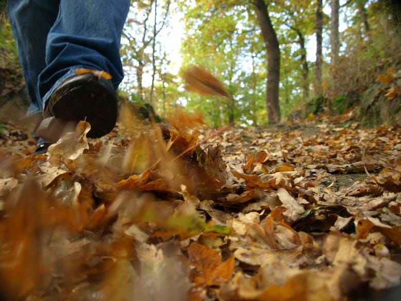 Free stock image of Man walk in park created by luckyhumek Free stock image of Man walk in park created by luckyhumek