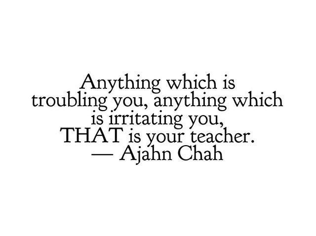 anything which is troubling you, anything which is irritating you, that is your teacher. Ajahn Chah