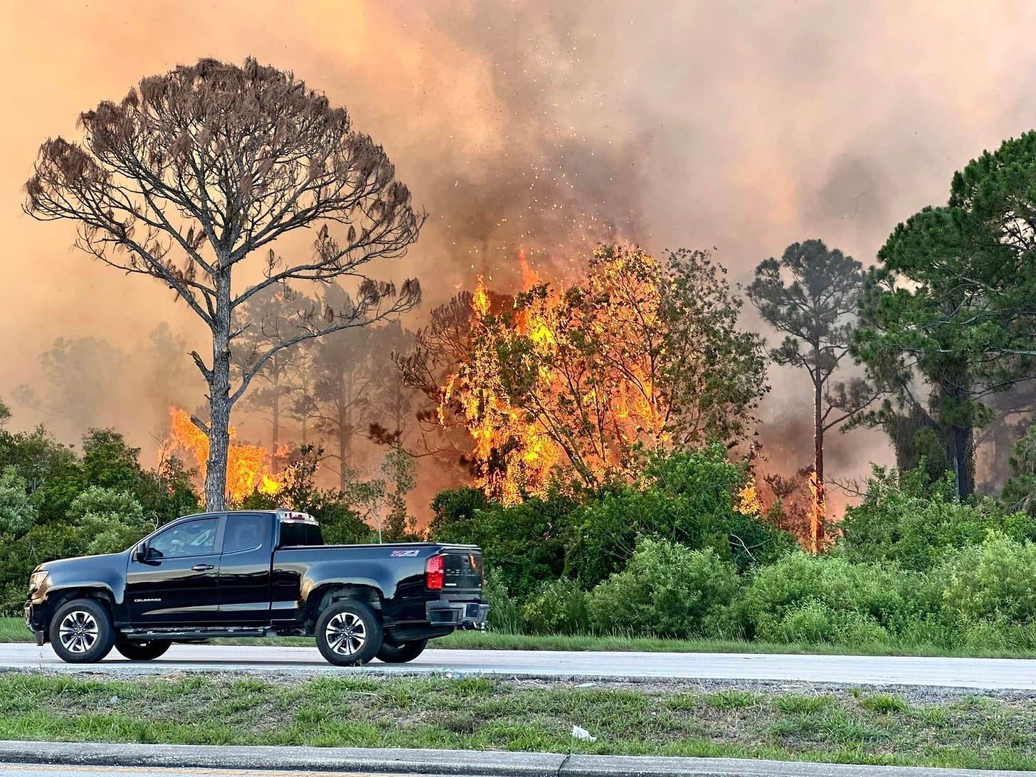 Firefighters battle blazes across drought-stricken parts of Florida photo 1