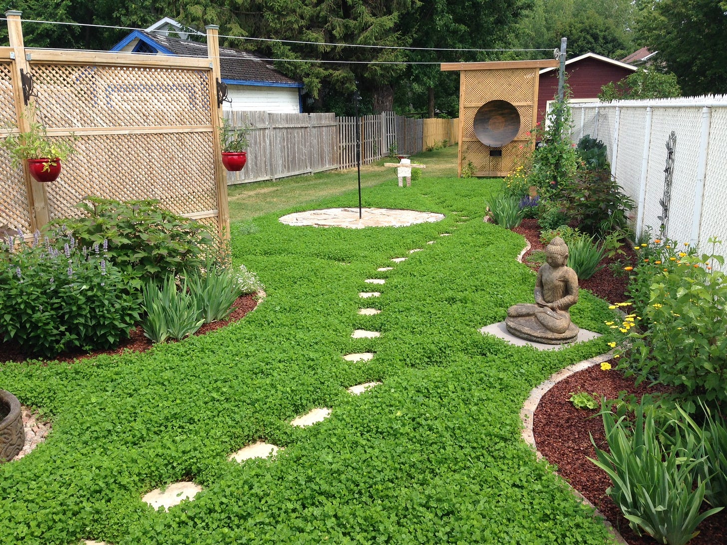 Urban Clover Lawn – Urban Seedling