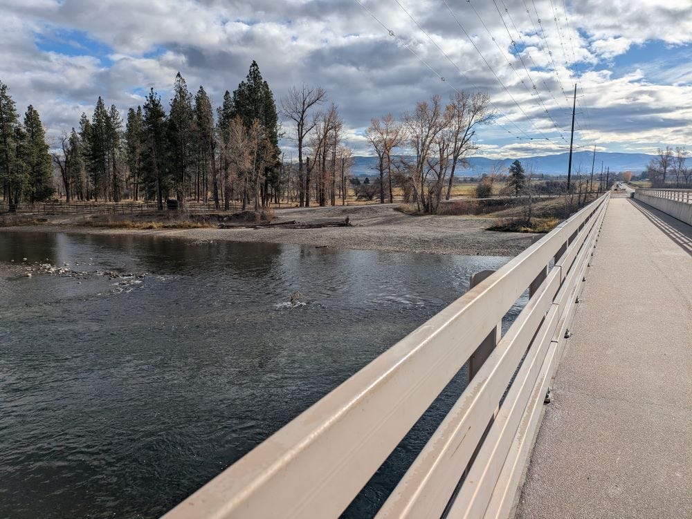 walking on a bridge over a wide river, slow and shallow, with pine trees and barren cottonwoods along the shore