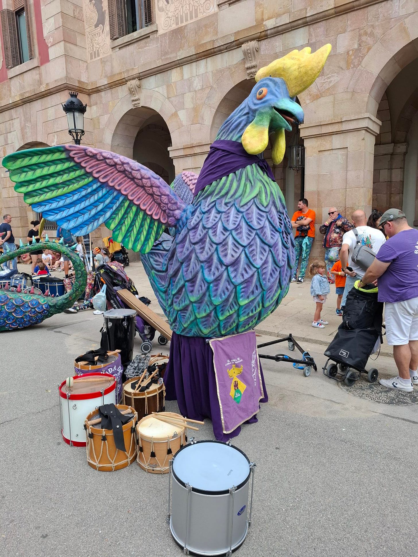 A Barcelona chicken, on the Diada