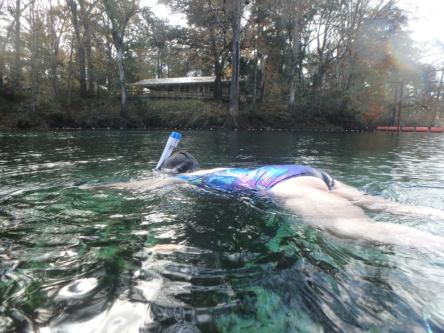 A white woman butt up, head down with snorkel sticking up swimming in spring water. 