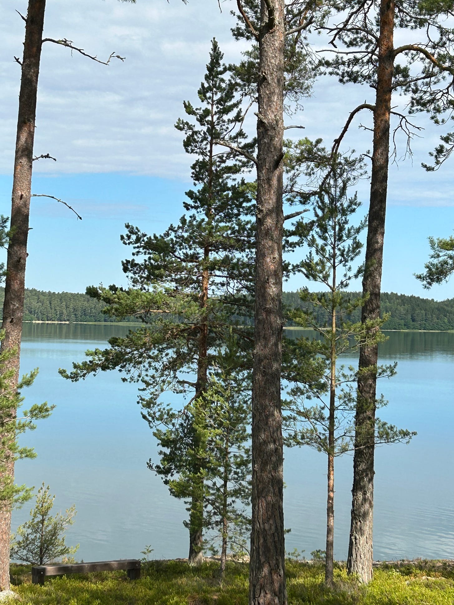 Photo of archipelago in Finland sea and forest in the background