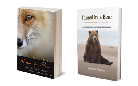 Book covers for Kissed by a Fox and Tamed by a Bear