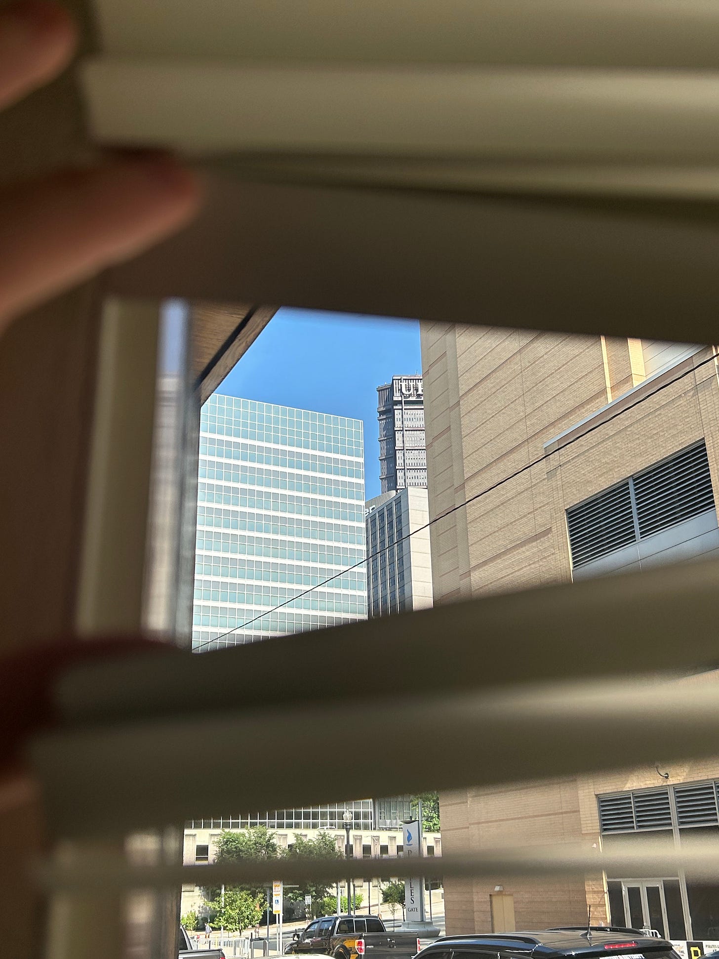 fill your cup The Shoey Script