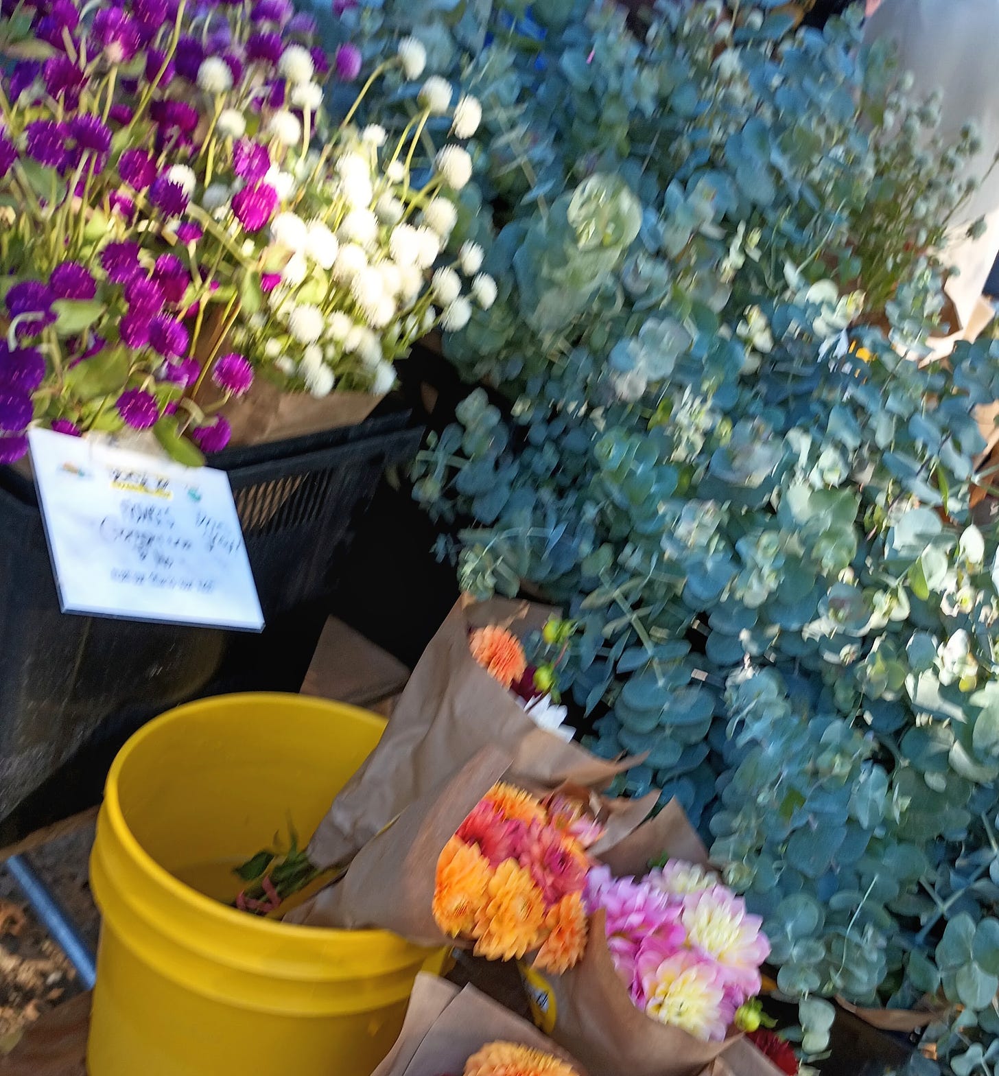 flowers in buckets at farmer's market.