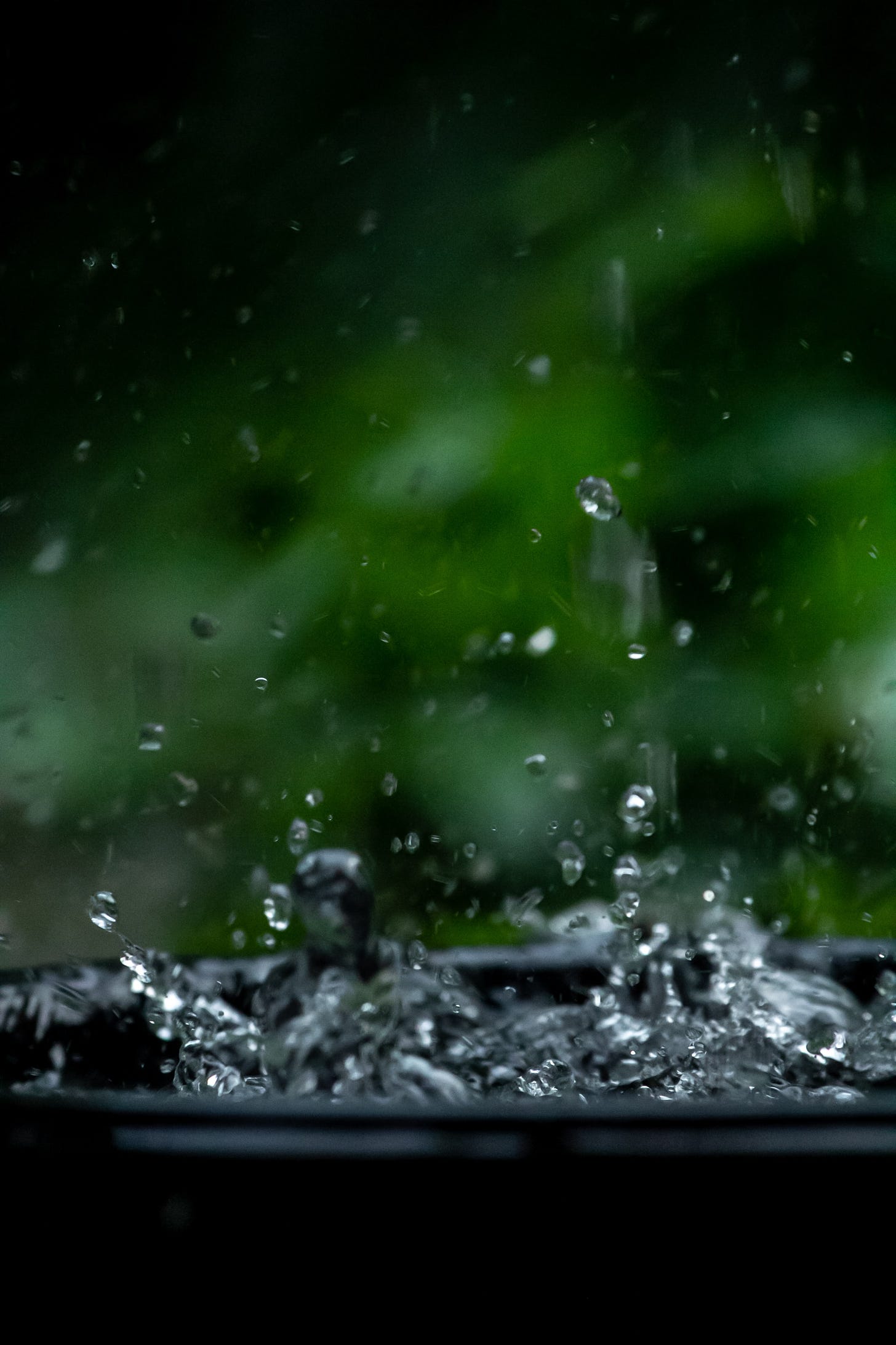 A moody dark green background. The foreground has a container of water, and drops are falling into it.