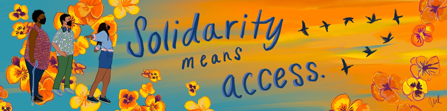 An banner illustrated by Julienne Kaleta. At center over a sunset and flower background are the words "Solidarity Means Access." At left are three people, of various races, genders, and abilities, all wearing masks and looking toward a flock of birds flying in V formation at right. The person in front outstretches their arms in an imitation of the birds flying.