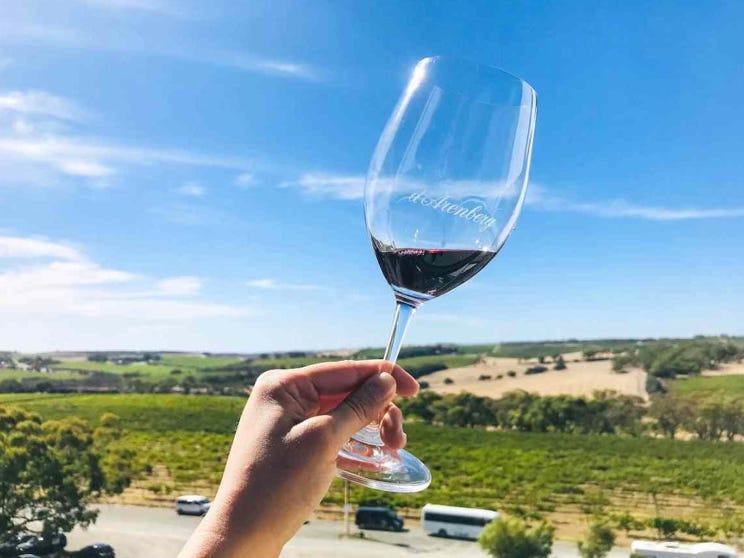 red wine glass with vineyard views