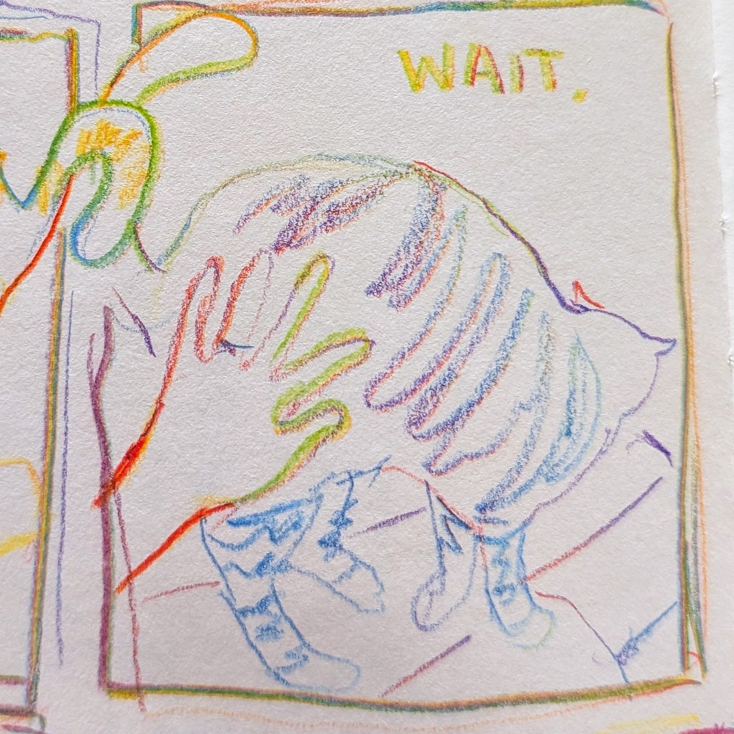 cat drawing