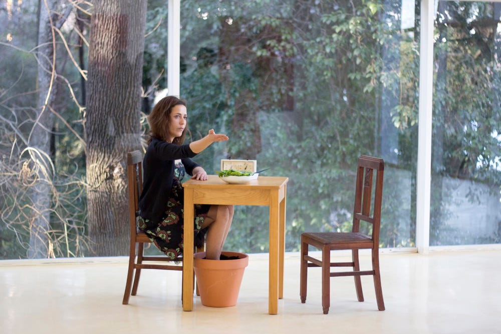 RADICARE On PlantMinded by Patrícia Corrêa