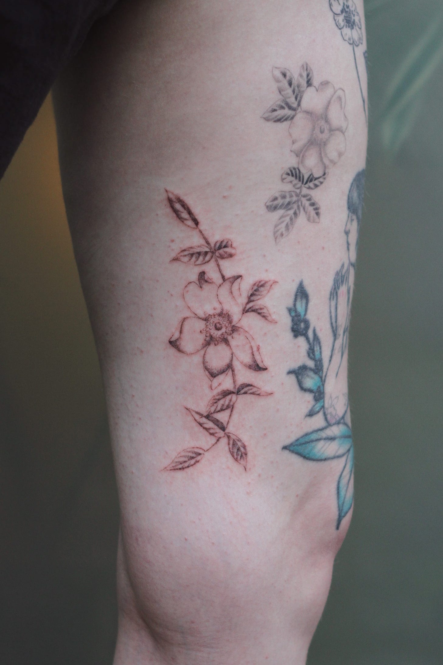 A tattoo of a softly shaded airy wild rose.