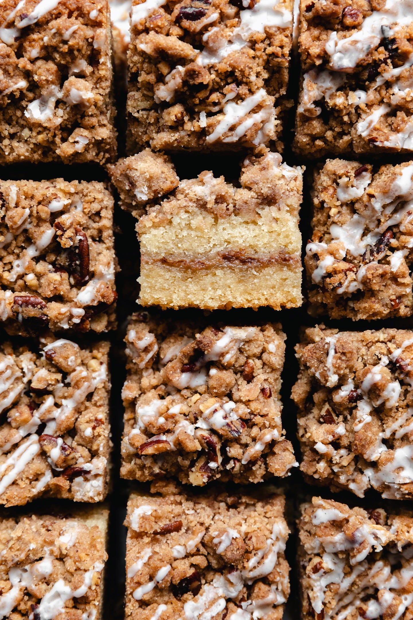 Close up shot of vegan cinnamon streusel coffee cake