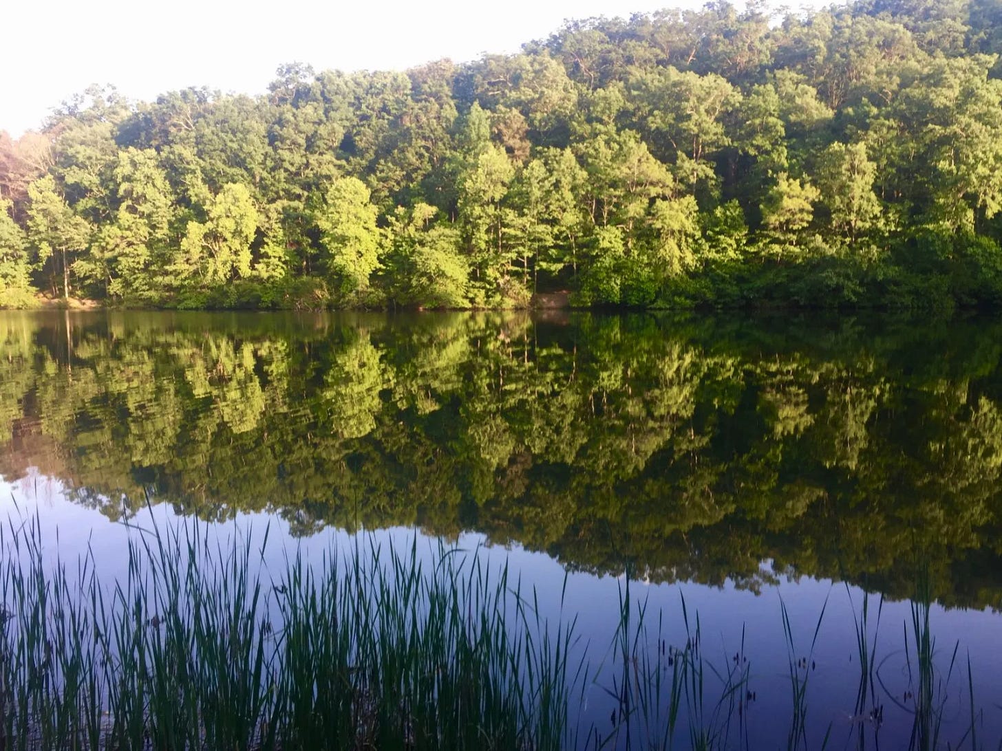 McCamy Lake McCamy Lake