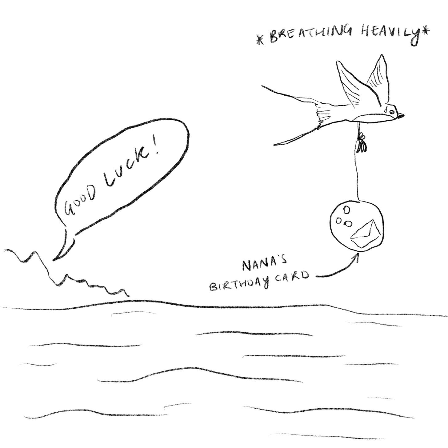 A swallow with a coconut attached to its leg and a letter inside, flying over the ocean. The island in the background is saying 'good luck' while the swallow is breathing heavily. 
