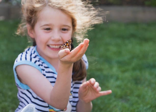 Happy Girl Holding a Butterfly A butterfly has landed on a little girls hand british butterflies stock pictures, royalty-free photos & images