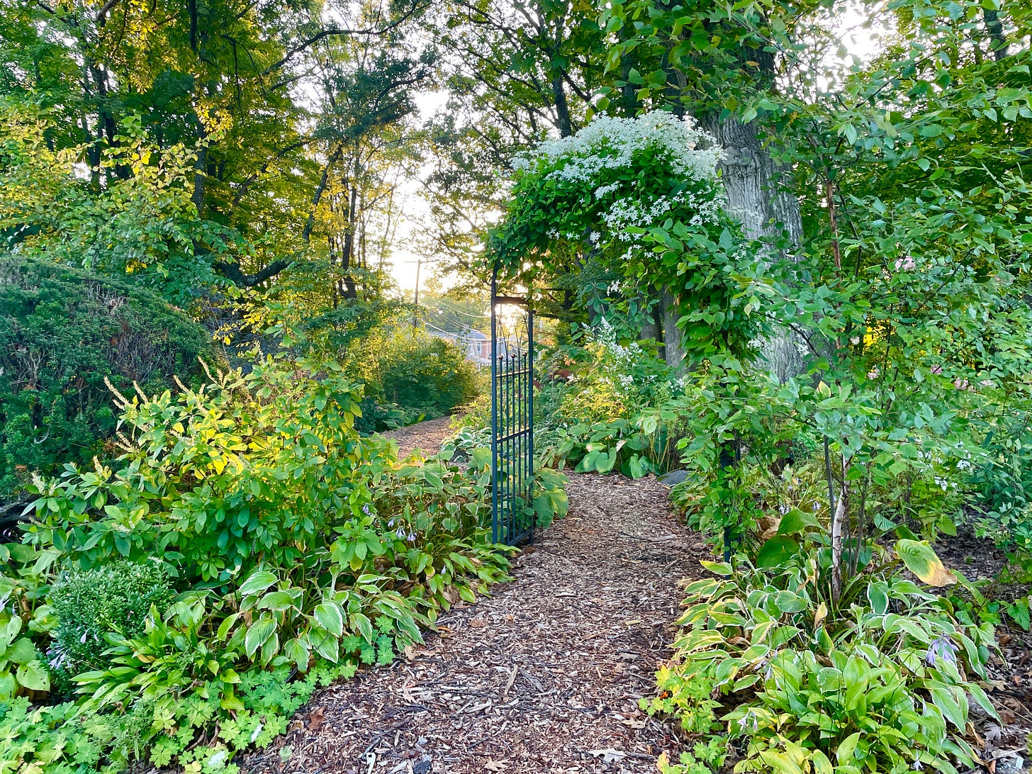 This entrance to the Woodland Garden is on the south side near the road, and contains a damp area where candelabra primroses reseed regularly, hence its name. 