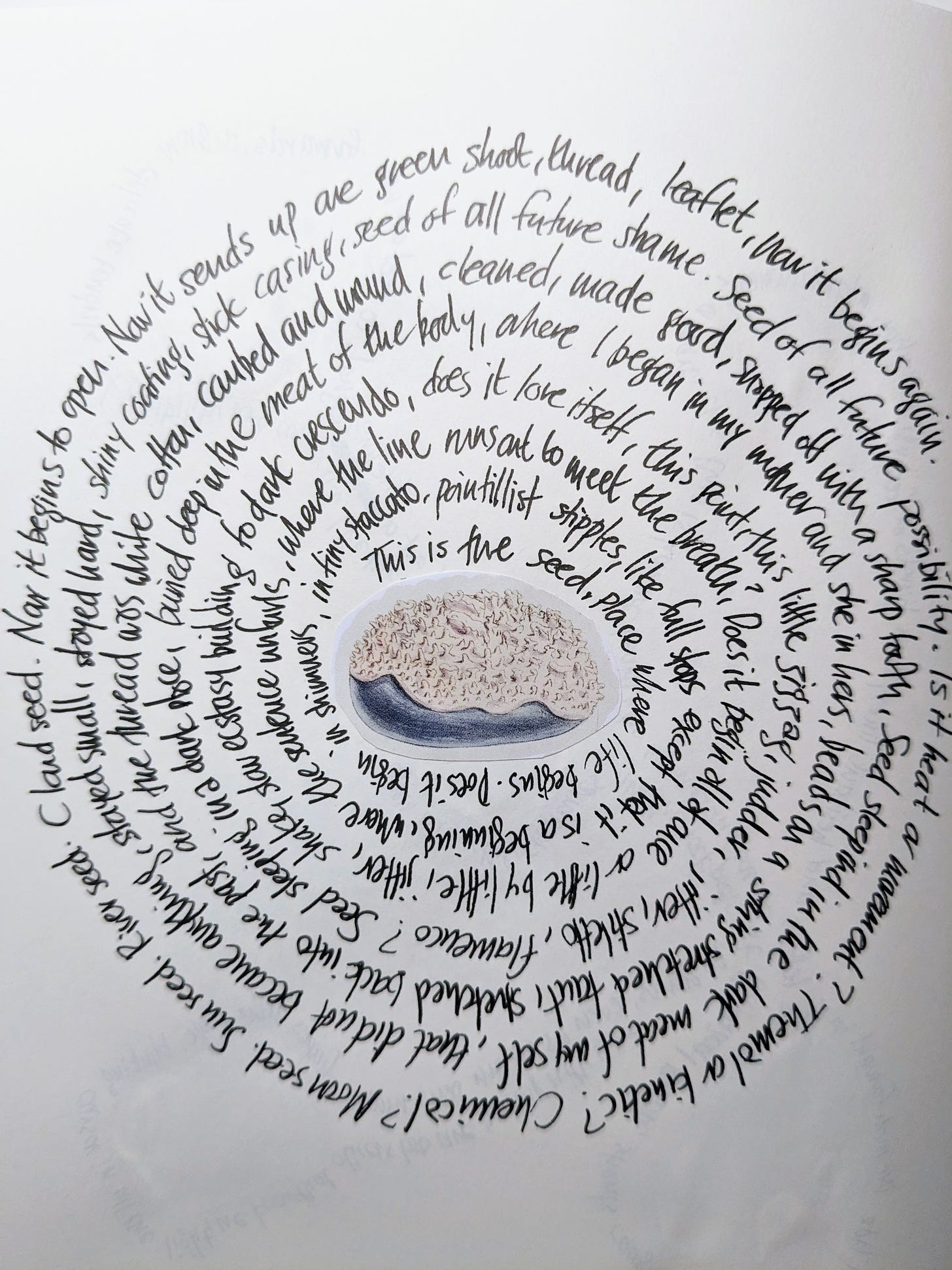 Handwritten aimage of spiral writing around a small collaged image of a seed by Sophie Nicholls