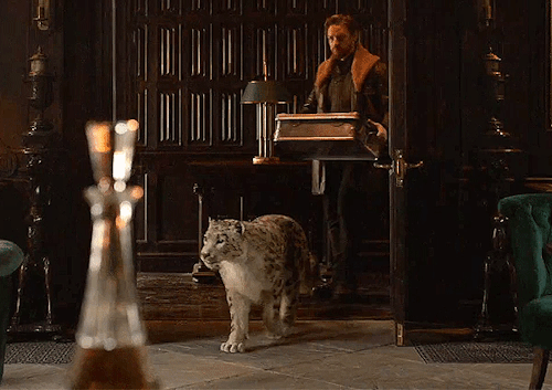 A big snow leopard walks into the library room; Lord Asriel, played by JamesMcAvoy, follows it with a big box in his arms