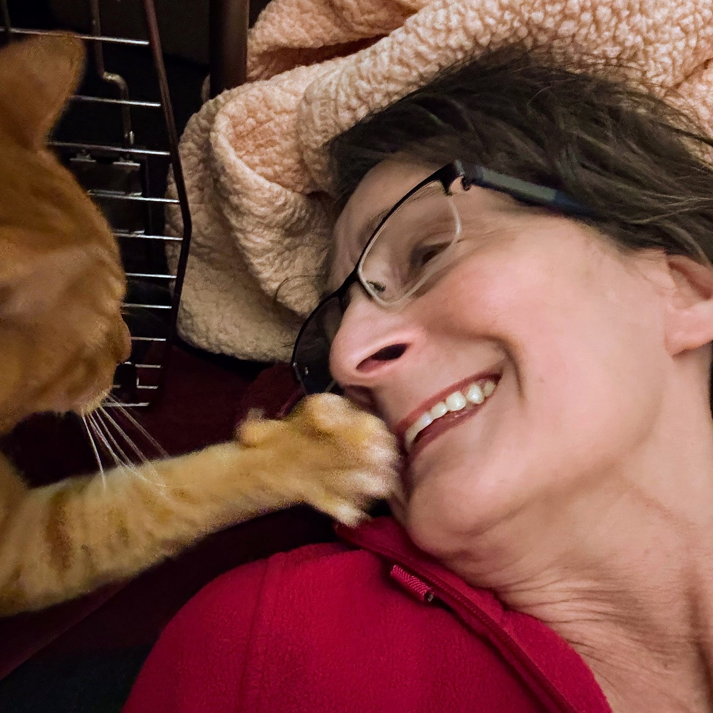 orange tabby cat emerging from a blue cat carrier to touch woman on the face with paw