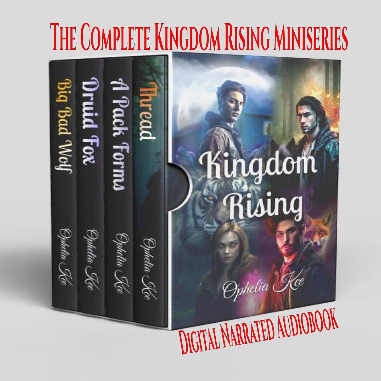Kingdom Rising Audiobook Cover