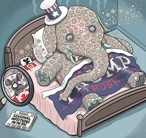 As the U.S. wrestles with the divisive and destabilizing effects of MAGA, Canada risks developing a version of its neighbour’s political and social illness, amplified by its smaller size and growing internal vulnerabilities.