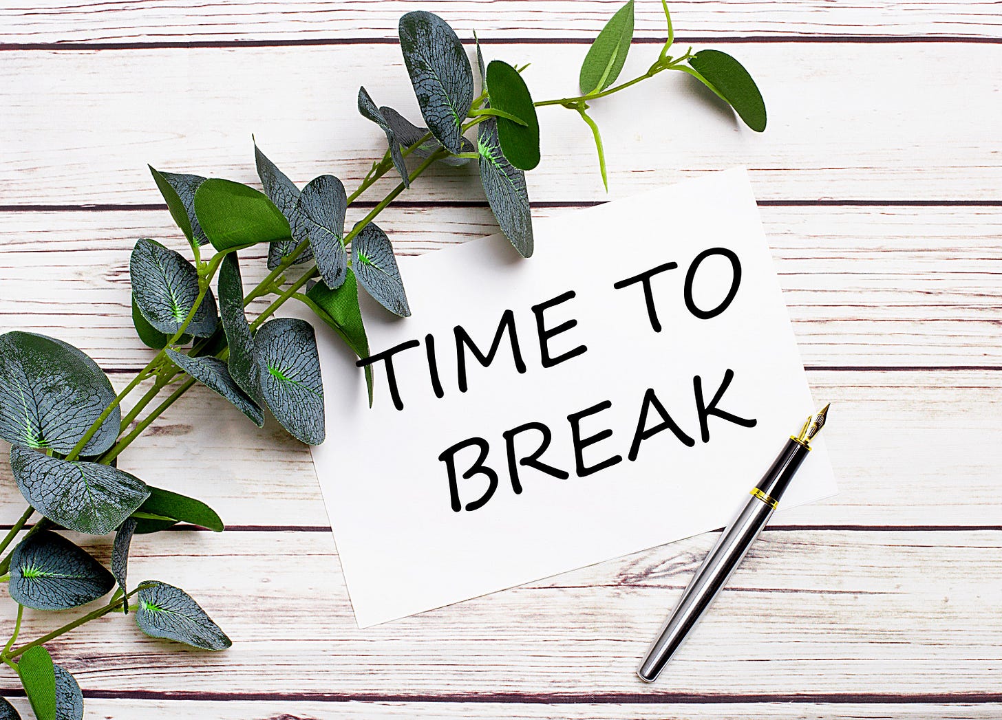 On a wooden background there’s long plant stems with dark green leaves, a metallic ink pen and a white note paper with the words “Time to break” written.