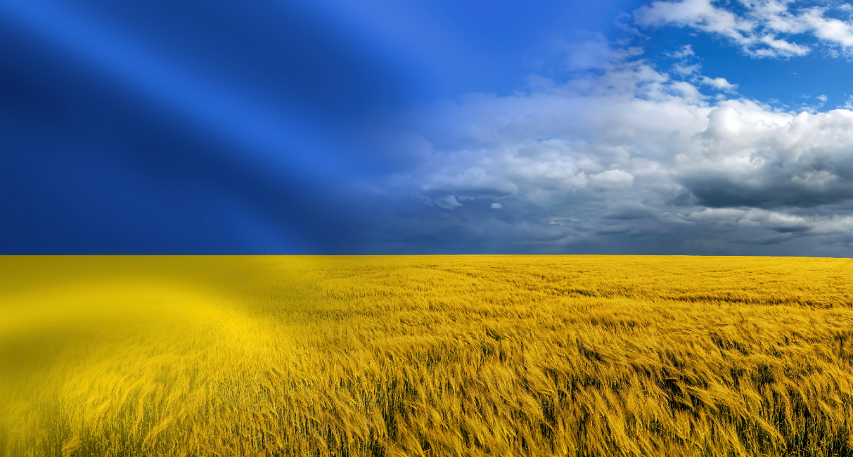 https://internationalbanker.com/wp-content/uploads/2022/06/Ukraine-Wheat.png