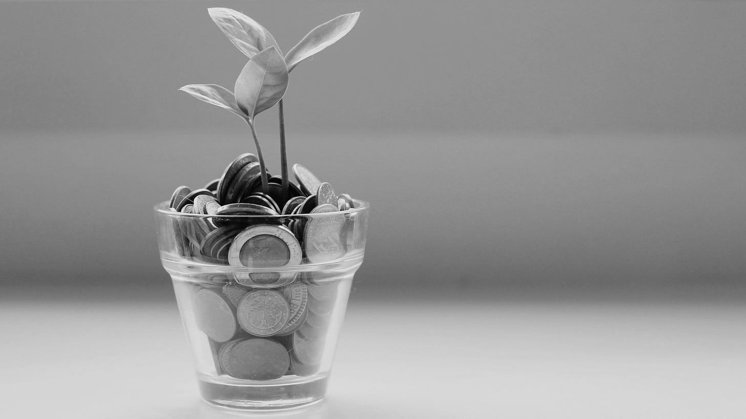 A plant in a glass pot filled with coins instead of soil