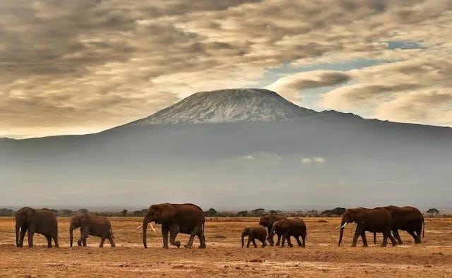 Monte Kilimanjaro, África