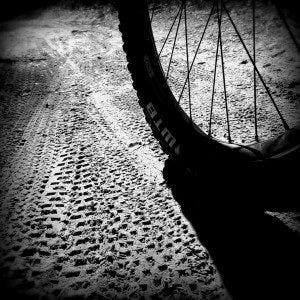 A coastal mountain bike ride at China Camp State Park in Marin County.