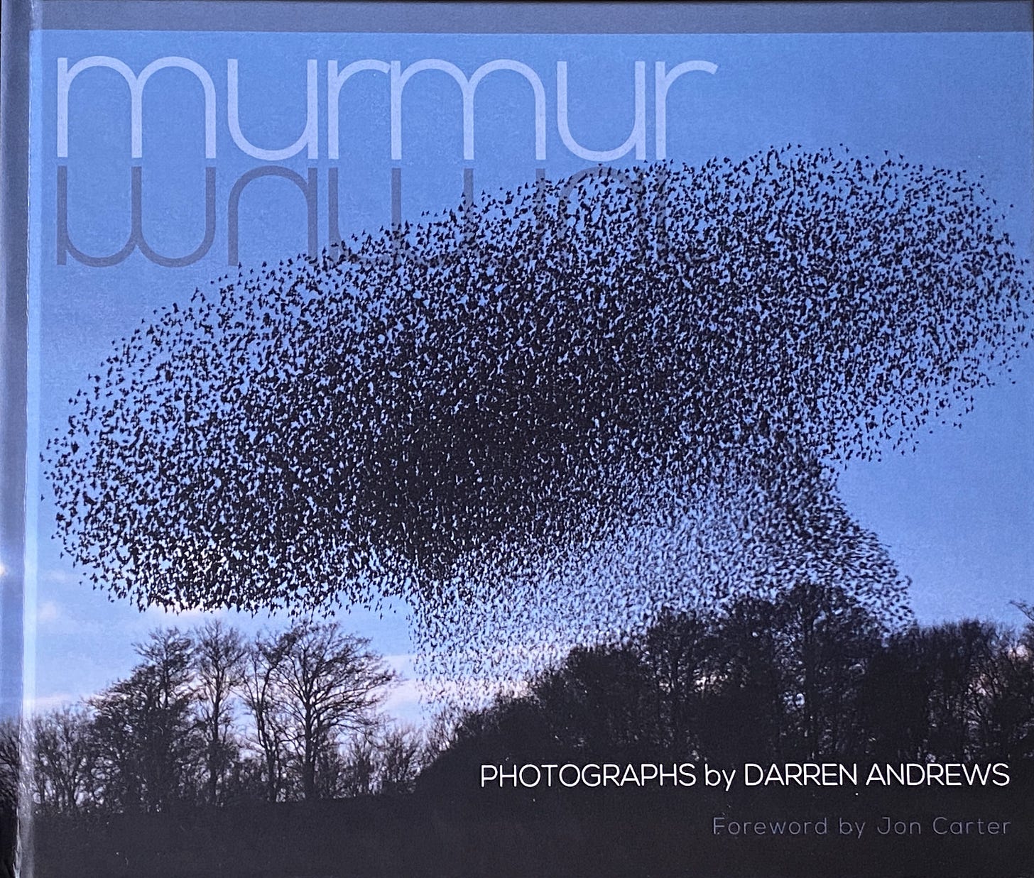 cover of the book Murmur by Darren Andrews