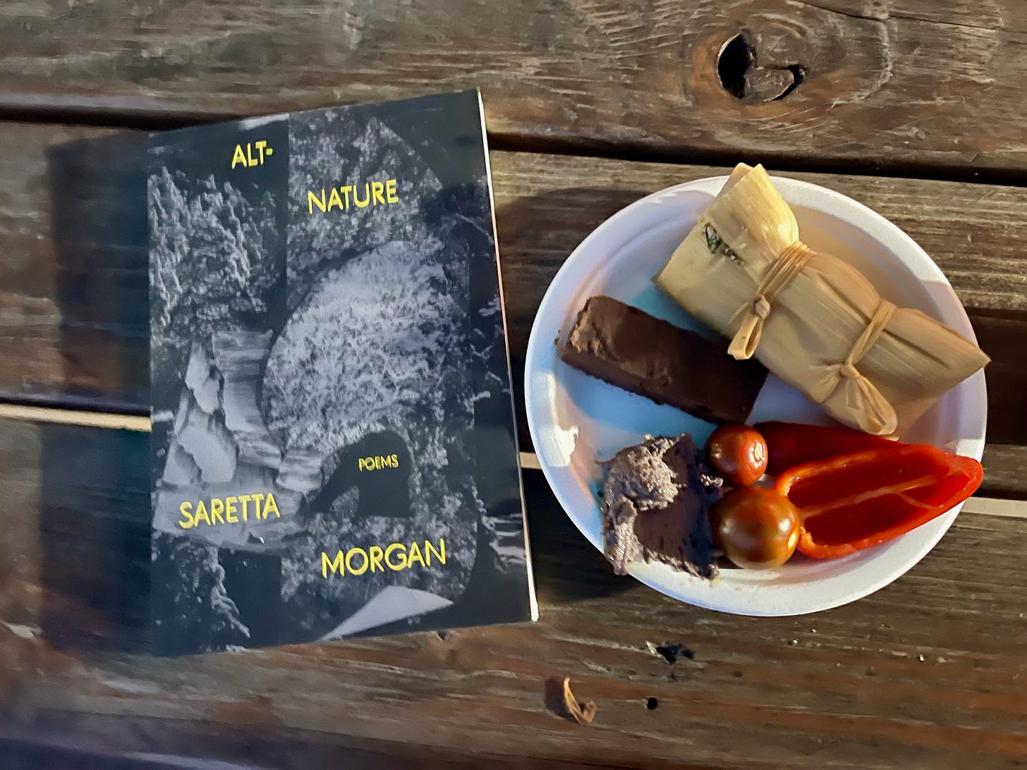 a picnic table with my copy of alt-nature, and my plate of tamales, bean dip, vegetables and a brownie