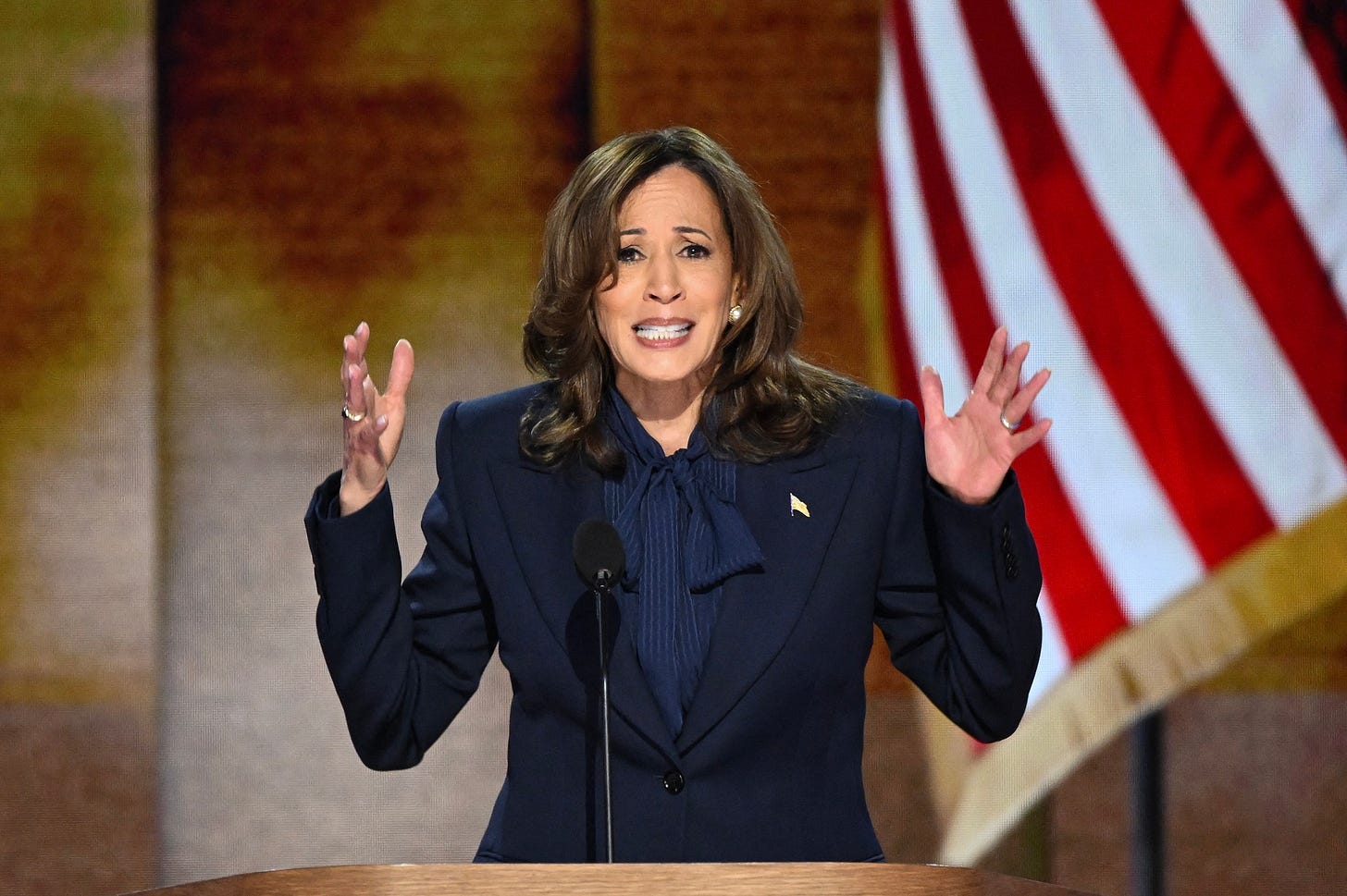 Ms. Harris pledges to become "president for all Americans" - Vietnam.vn