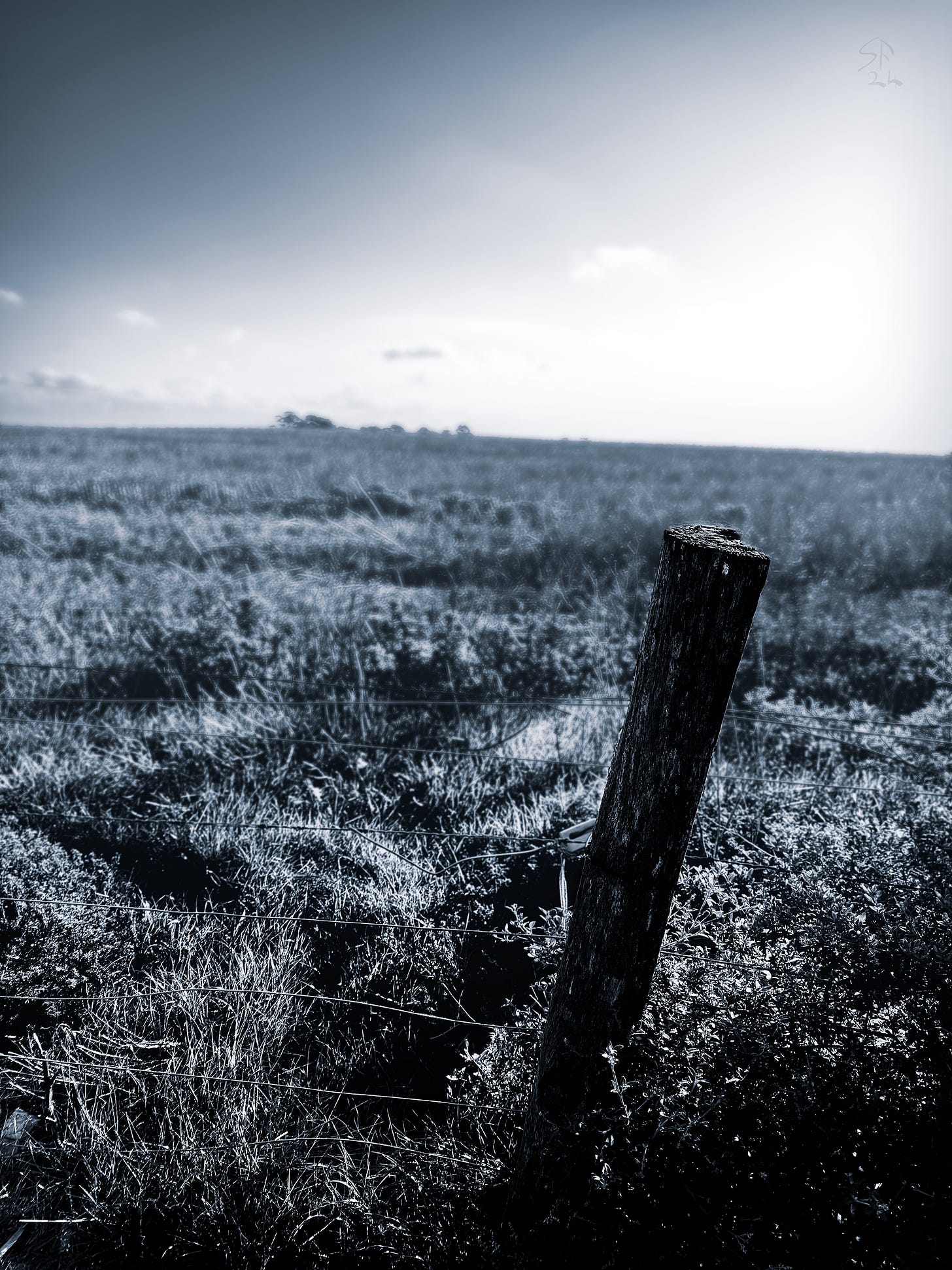 Fence post in the foreground, in focus. Behind, out of focus, a paddock stretching to the horizon.