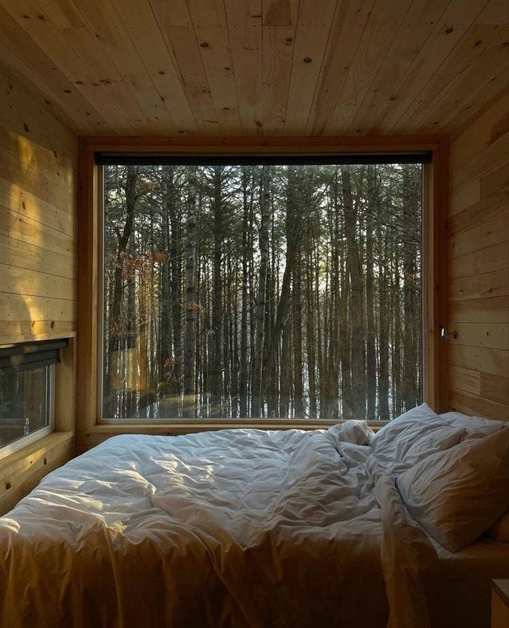 This may contain: a bed sitting under a window next to a forest