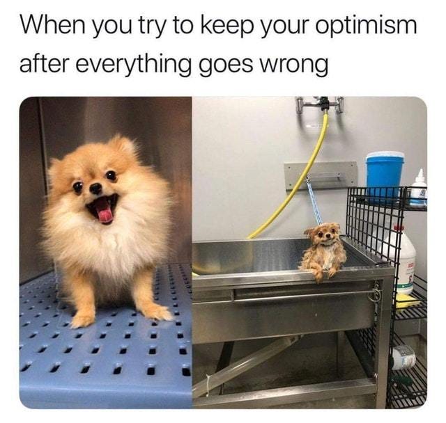 When you try to keep your optimism after everything goes wrong - meme