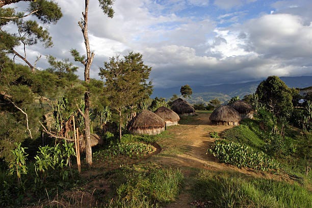 540+ Papua New Guinea Village Stock Photos, Pictures & Royalty-Free Images  - iStock